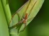 301609 – Photo : Josselyne Bayle – France (33)